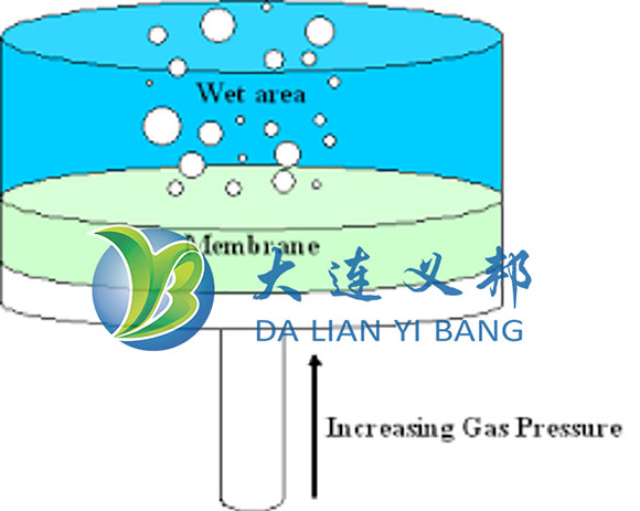 全氟微孔濾膜和微孔濾膜折疊過(guò)濾器完整性測(cè)試簡(jiǎn)介